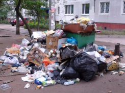 Экологи нашли в Волжском 37 стихийных свалок