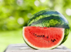 Волжане уже пробуют на вкус знаменитые быковские арбузы