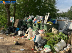 Жители Волжского жалуются на переполненные свалки на дачах