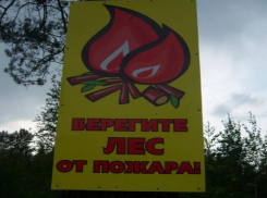 Продлено ограничение на посещение лесов