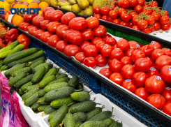 ФАС проверяет резкое подорожание овощей из волжских теплиц 