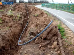 Волжским предприятиям предлагают бесплатную консультацию по земельным вопросам