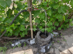 Тухлая вода с запахом фекалий: в Волжском жители бьют тревогу 
