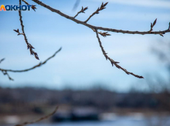Солнце вернется в Волжский в понедельник: прогноз погоды