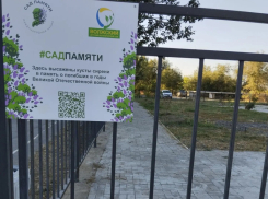 Чиновники Волжского опровергли открытие сада-мемориала героям ВОВ у «Русинки» после того, как он засох