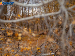 В Волгоградской области нашли тело без вести пропавшего мужчины
