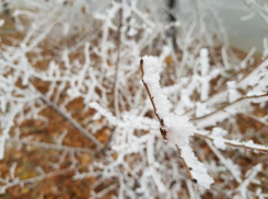 Туман и иней захватили улицы Волжского