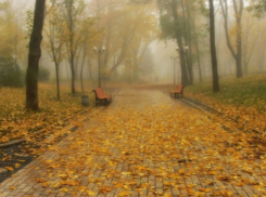 Заморозки без осадков прогнозируют синоптики