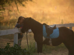 Проведи время в гармонии с природой: волжский конный клуб «GREEN HORSE» ждет гостей