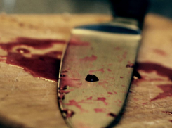 Житель Волгоградской области убил сожительницу на глазах ее ребенка