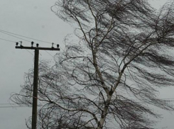 Сотни волгоградцев остались без света из-за урагана