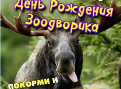 Верблюд Вася и страус Цезарь позвали волжан на день рождения «Зоодворика»