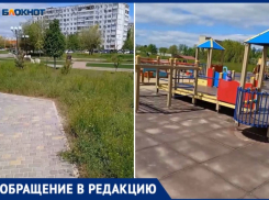 Волжанам испортили праздник гудящими косилками и летящей травой: видео