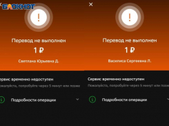 Масштабный сбой в работе «Сбера»: волжане не могут перевести деньги с карт и счетов