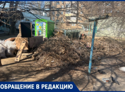 Навал веток у мусорки в Волжском – кто отвечает за вывоз: УК или регоператор?