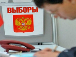 Волжский показал самый низкий процент явки на выборы по Волгоградской области