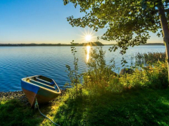 День мифического Василиска будет солнечным