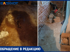 «Нам нечем дышать»: волжане задыхаются от вони в собственных квартирах