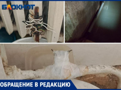 «У соседей прорвало трубу и уже полгода мы тонем в своих квартирах»: волжская УК «Русский дом» бездействует