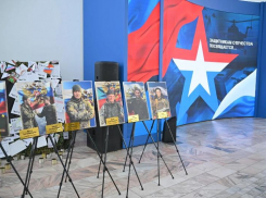 В Волгограде открылась выставка о героях СВО