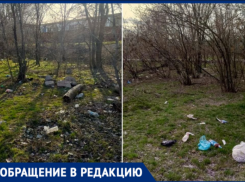 «Уверена, что так утопает весь город»: волжанка показала «кладбище мусора» в лесополосе у гаражей