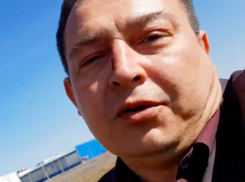 Пока я поднимал упавший телефон, меня ударили коленом, - директор волжского парка