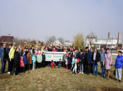 Близ Волжского заложена первая памятная аллея