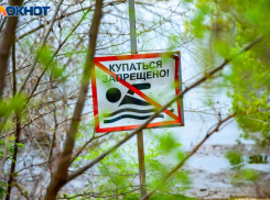 «Дикие» пляжи Волжского: места, где правила безопасности почему-то не действуют