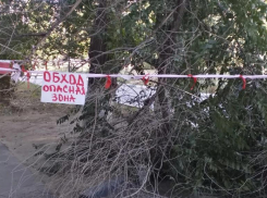 Волжане не верят, что родители добьются ремонта детского сада № 65