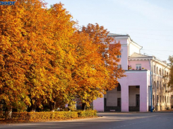 Немного солнышка подарит волжанам День повара