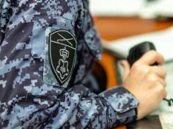 Трое воришек пойманы с поличным в торговых центрах Волжского