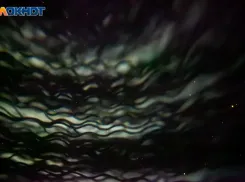 День располагает к тишине: гороскоп на 15 февраля