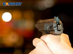 При спасении девочки от овчарки полицейский применил оружие