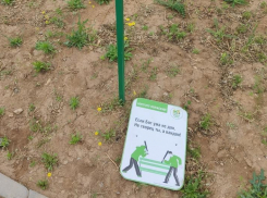 «Бестолковые агитки провоцируют детей»: в Волжском общественники выступили против обидных стишков на табличках