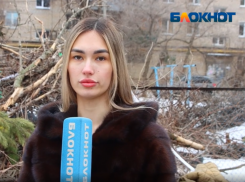 Двор превратился в свалку: редакция «Блокнот Волжский»  инспектирует местность