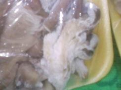 «Живой мир» нашла волжанка на грибах из «Магнита»