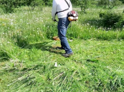 Для безопасности волжан власти косят траву