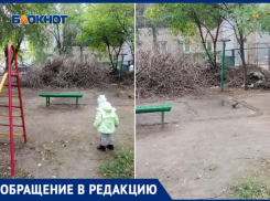 2-метровая куча сухих веток осталась после обрезки на детской площадке в Волжском