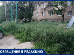 «Крокодилы заведутся скоро»: жительница Волжского рассказала о состоянии дворов