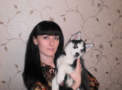 У волжанки умерла породистая собака из-за бездействия ветеринаров