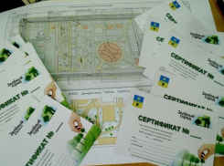 В Волжском акция «Сертификат на дерево» набирает обороты