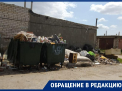 «Бродячие собаки устроили на свалке себе столовую»,- волжанин о мусорке в гаражах
