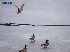 В Волжском немного потеплеет