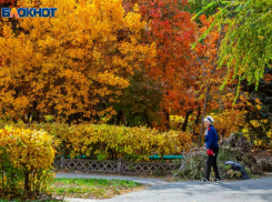 Солнечный и холодный вторник ожидает волжан: прогноз погоды