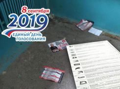 Предстоящие выборы в Волгоградской области: о чем нужно помнить, идя голосовать