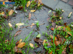 Пасмурное воскресенье ждет волжан: прогноз погоды