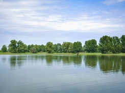 Земли природного парка «Волго-Ахтубинская пойма» незаконно раздавали под торговые точки