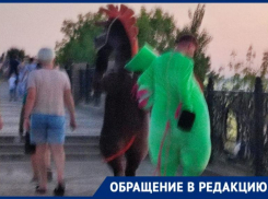 Волжанка едва не стала жертвой агрессивной плюшевой зебры на море