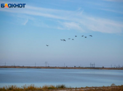 Прохладное воскресенье ждет волжан: прогноз погоды