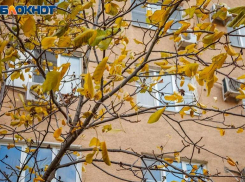 Волжане будут от листьев обметать ступени: прогноз погоды на воскресенье